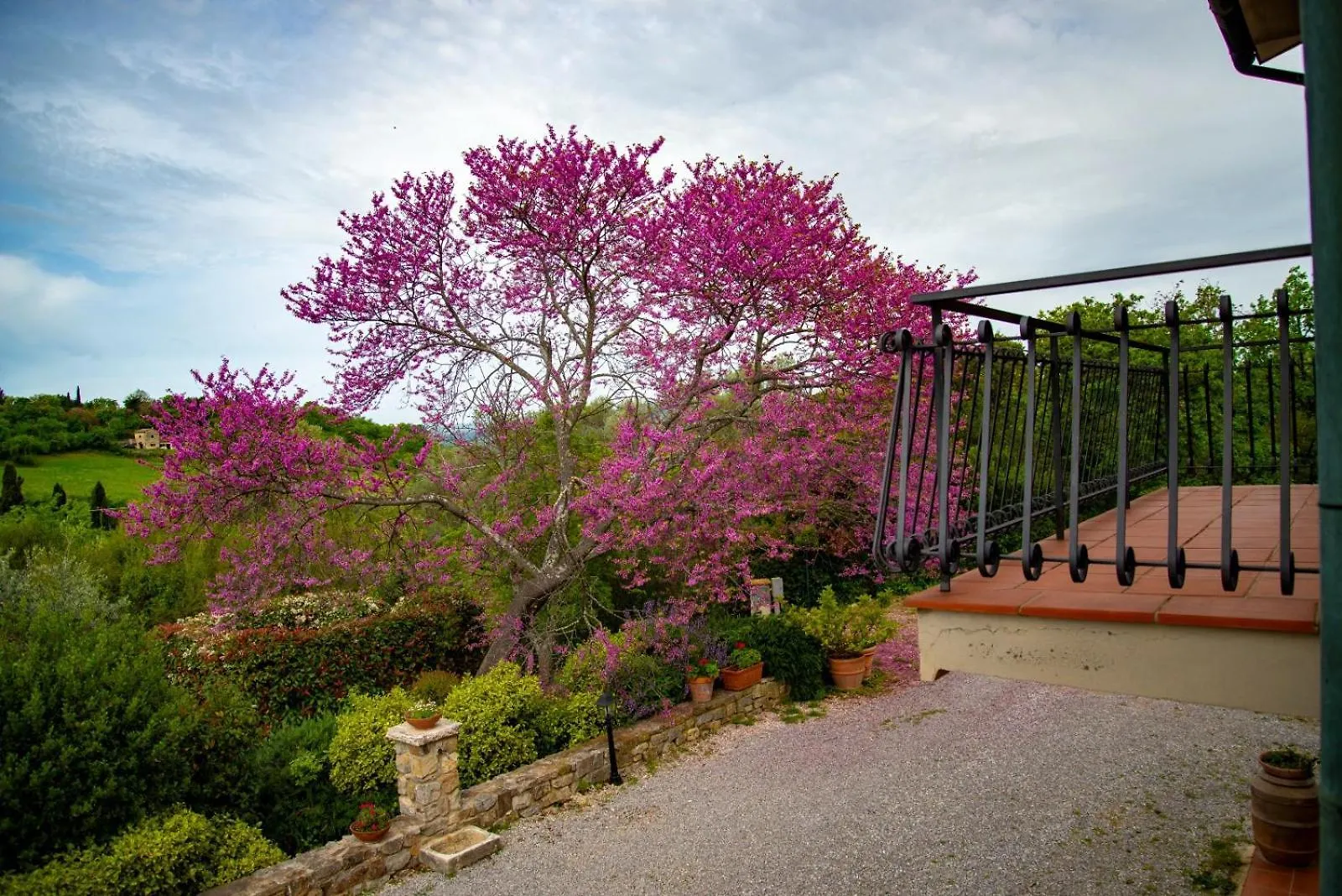 Agriturismo La Sede Di Carlo Saturnia Farma